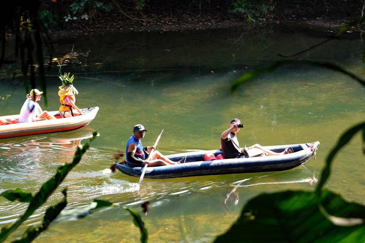 Canoeing Tour (1 hr.)