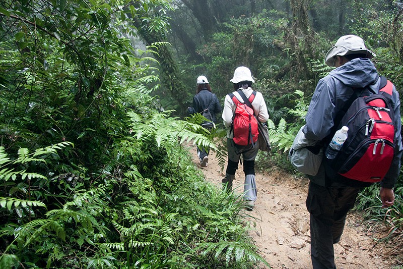 Trekking Tour (3 hrs.)