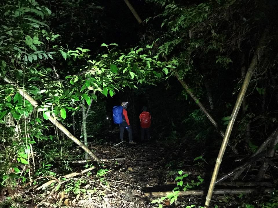 Night Safari (khao sok) (3 hrs.)