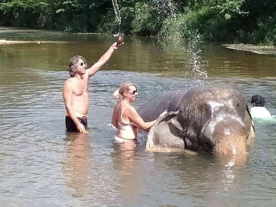 Elephant Bathing or Trekking (1 hr.)