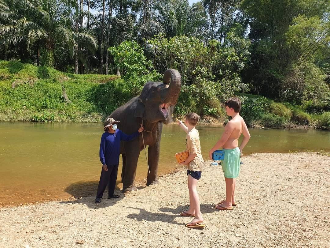 Elephant Bathing or Trekking (1 hr.)