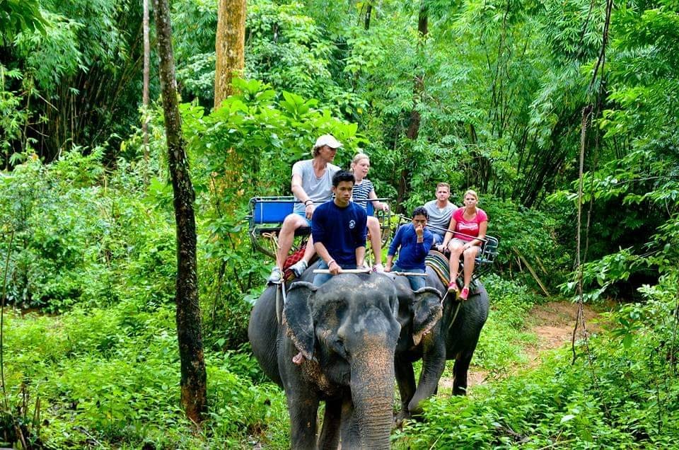 Elephant Bathing or Trekking (1 hr.)