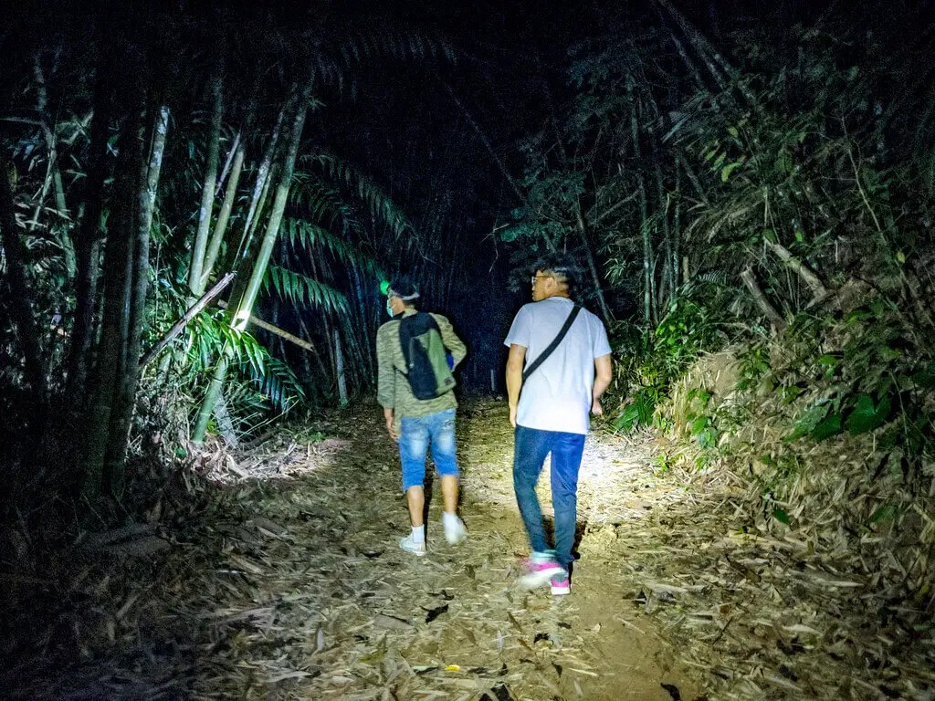 Night Safari (khao sok) (3 hrs.)