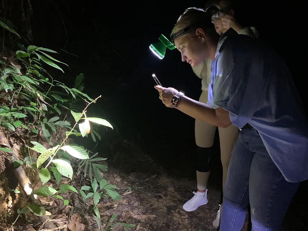 Night Safari (khao sok) (3 hrs.)