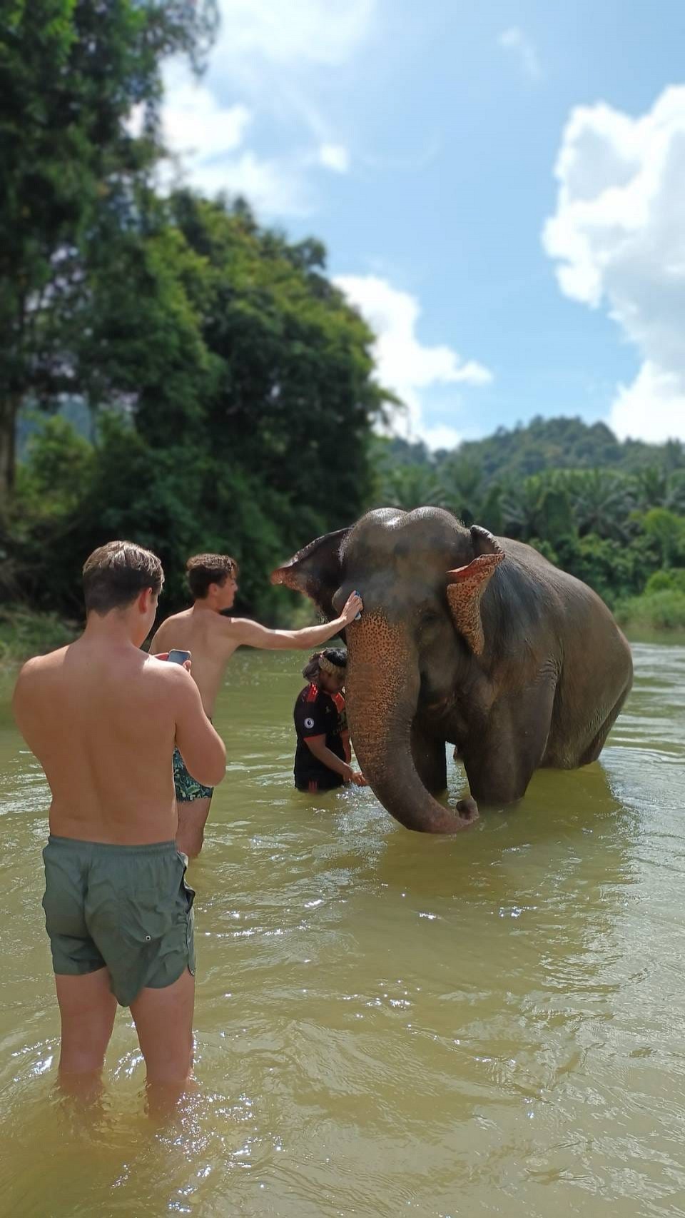 Elephant Bathing or Trekking (1 hr.)