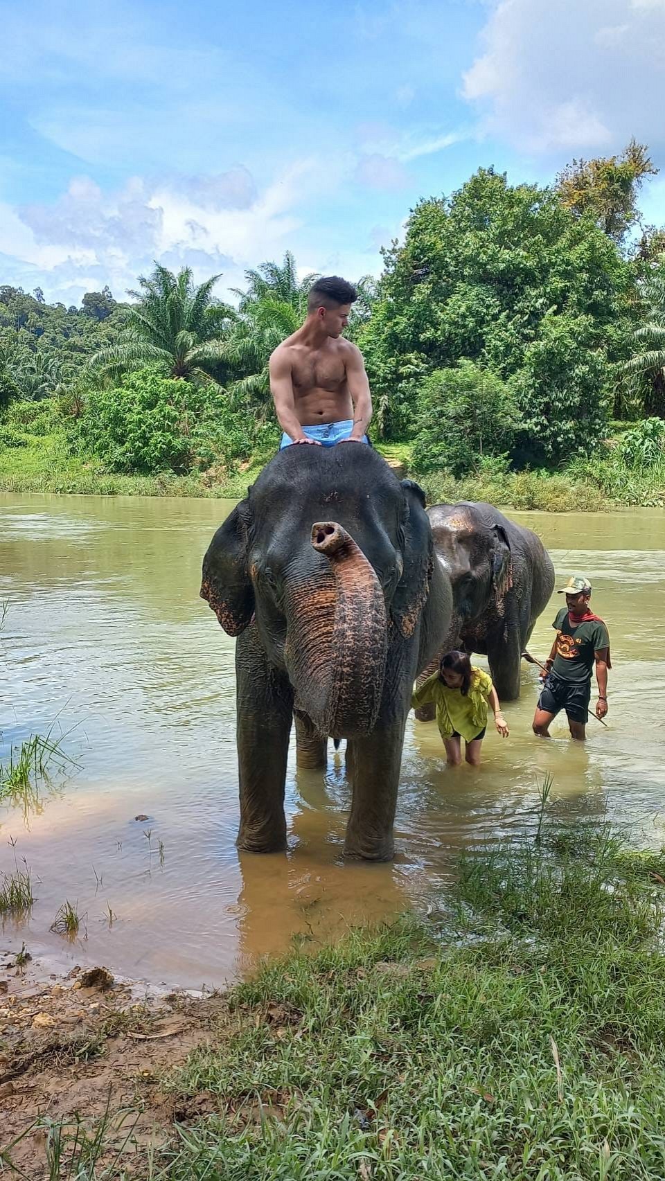 Elephant Bathing or Trekking (1 hr.)