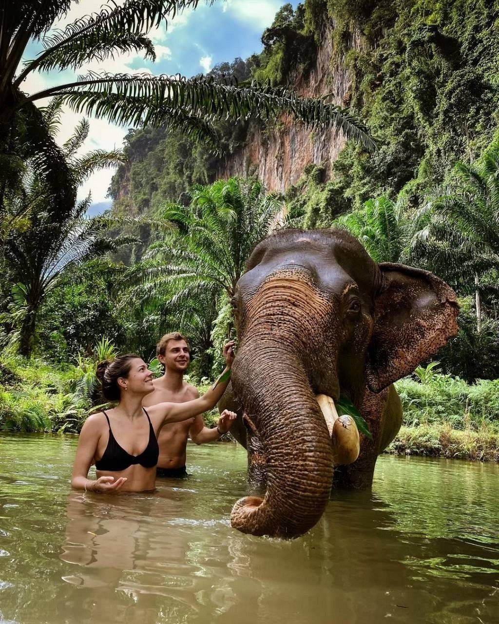 Elephant Bathing or Trekking (1 hr.)